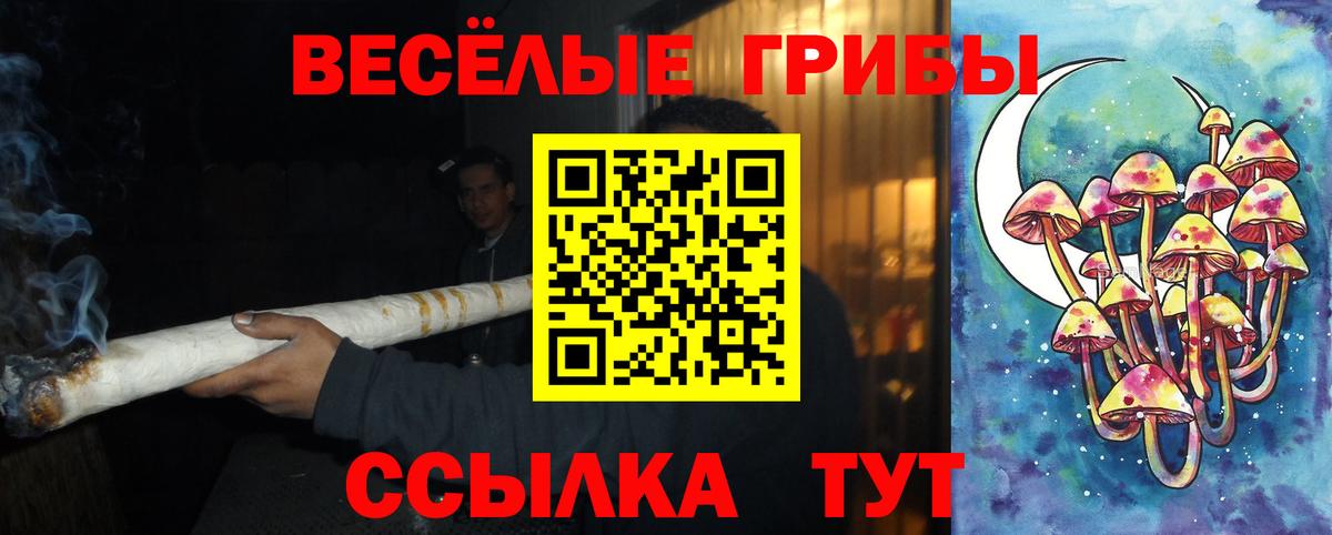 купить   Вход с VPN  Лесной  Галлюциногенные грибы Magic Shrooms 